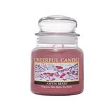 A Cheerful Giver Aspen Berry Scented Jar Candle Paraffin in Red | 5.5 H x 4 W x 4 D in | Wayfair CS141