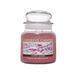 A Cheerful Giver Aspen Berry Scented Jar Candle Paraffin in Red | 5.5 H x 4 W x 4 D in | Wayfair CS141