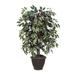 Primrue Artificial Capensia Deluxe Potted Tree Silk/Plastic in Brown | 48 H x 30 W x 30 D in | Wayfair 9538EBCF2AE74E538F71B49476E8761E