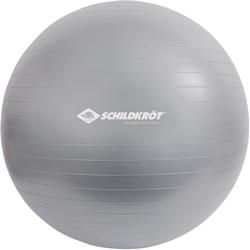 Schildkröt Gymnastikball (Größe 55cm, grau)