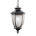 Kichler Lighting Salisbury 24 Inch Tall 1 Light Outdoor Hanging Lantern - 9843RZ