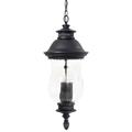 Minka Lavery Newport 30 Inch Tall 4 Light Outdoor Hanging Lantern - 8904-94