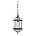 Savoy House Kensington 18 Inch Tall Outdoor Hanging Lantern - 5-0631-BK