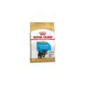 Nourriture que Royal Canin Yorkshire Terrier Chiot (Junior) pour chiots (jusqu'љ 10 mois) - 500g