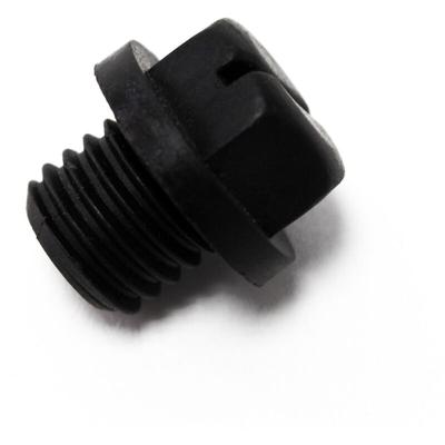 Ersatzteil für Schwimmbadpumpe Ablassstopfen, 550 w Poolfilteranlage, Filterpumpe 13000 l/h, Image