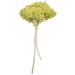 Primrue Natural Botanicals 15" Hydrangea w/ Multiple Branch Segments, Preserved in Yellow | 15 H x 4 W x 6 D in | Wayfair