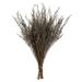 Primrue All Natural Stoebe Bundle, Preserved 14"-18" Stoebe Bundle, Preserved | 14 H x 8 W x 10.5 D in | Wayfair 0C017AE399A3477996E4090BBA0FFCBC