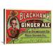 Buyenlarge 'Blackhawk Ginger Ale' Vintage Advertisement in Green/Red | 24 H x 36 W x 1.5 D in | Wayfair 0-587-24609-xC2436