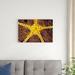 Red Barrel Studio® Purple Star Wakatoobi, Indonesia by Beverly Factor - Wrapped Canvas Photograph Canvas | 20 H x 30 W in | Wayfair