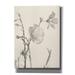 Winston Porter Faded Flower II by Lori Deiter - Wrapped Canvas Photograph Metal in Brown | 54 H x 40 W x 1.5 D in | Wayfair