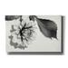 Winston Porter White Dahlia I by Lori Deiter - Wrapped Canvas Photograph Metal in Black/White | 26 H x 40 W x 1.5 D in | Wayfair