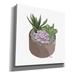 Dakota Fields Succulent Planter I by Heidi Kuntz - Wrapped Canvas Graphic Art Print Canvas in Brown | 26 H x 26 W x 1.5 D in | Wayfair