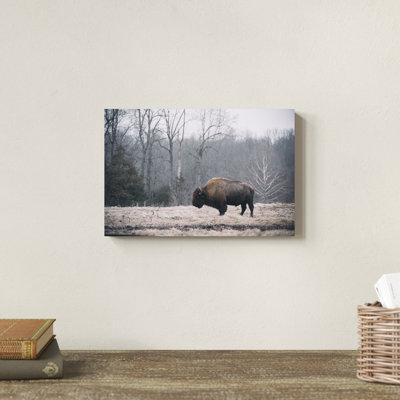 Foundry Select Solitary Bison I by Adam Mead - Wrapped Canvas Photograph Canvas | 8 H x 12 W x 1.25 D in | Wayfair 8B7FF287EFD64A50B0CF366A4A774E14