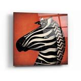 Trinx Zebra Wow by Ryan Fowler - Unframed Graphic Art Plastic/Acrylic | 12 H x 12 W x 0.13 D in | Wayfair C70C1EE6B5E845E6BF9368EAECD41E85