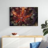 Latitude Run® Star Power Indonesia by Beverly Factor - Wrapped Canvas Photograph Metal | 32 H x 48 W x 1.25 D in | Wayfair