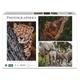 Ambassador 7230787 Wild Animal Families, 3 x 1000 Pieces Puzzle Set for Adults and Children from 10 Years, Photographer's Collection, Donal Boyd, Leopard, Orangutan, Elephant