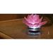 Red Barrel Studio® Shantin Glass Tabletop Lighted Flower Glass in Pink | 6.1 H x 4.72 W x 6.1 D in | Wayfair 191836213A774A3AA9A3AB4543EBABD7