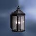 Charlton Home® Vanna 3-Light Outdoor Wall Lantern Glass/Metal in Black | 21 H x 10 W x 11 D in | Wayfair 423769C976FA4D6A9AF22E3792E6B4E5