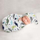 Mod Dino Collection Boy Baby Cocoon and Beanie Hat Sleep Sack - 2pc Set - Blue, Green and Grey Modern Dinosaur