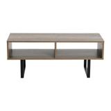Trent Austin Design® Gateshead Sled Coffee Table w/ Storage Wood in Gray/Brown | 15.75 H x 39.37 W x 15.75 D in | Wayfair