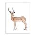 Stupell Industries Impala Antelope Watercolor Children's Wild Animal by Fox Hollow Studios - Painting Wood in Brown | 15 H x 10 W x 0.5 D in | Wayfair