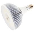 Satco Dimmable 152 Watt 5000K LED Light Bulb - S13155