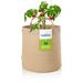 Coolaroo Heavy Duty Grow Bag Breathable Fabric for Air Pruning & Plant Growth Pot Planter Set in Brown | 14 H x 15 W x 15 D in | Wayfair 500627