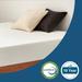 Twin Medium 3" Memory Foam Mattress - JINGWEI Cotton | 75 H x 38 W 3 D in Wayfair WFSGE01-JWB-03NT