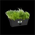 Fioriera basics trough mini 30cm Nera