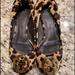 Tory Burch Shoes | Cheetah Tory Burch Reva Flats | Color: Black/Tan | Size: 6