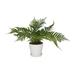 Green Faux Foliage Fern Artificial Plant with Realistic Leaves and Fluted Porcelain Pot - 19"L x 23"W x 14"H
