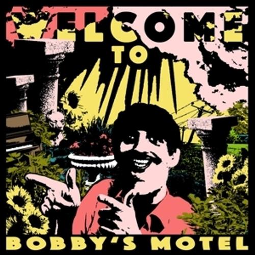Welcome To Bobby'S Motel - Pottery, Pottery, Pottery. (CD)