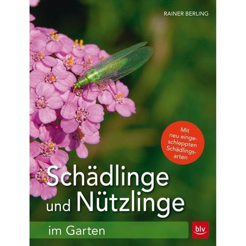 Schädlinge und Nützlinge im Garten - Rainer Berling, Kartoniert (TB)