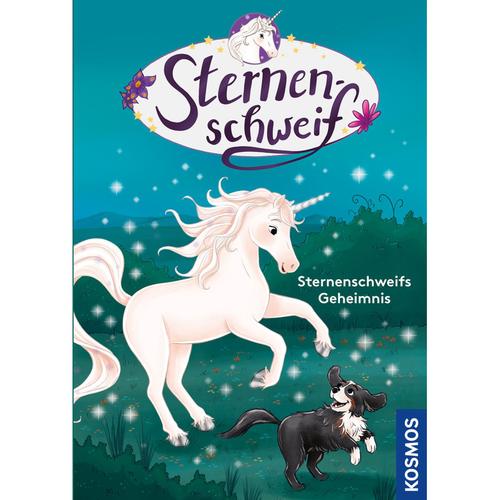 Sternenschweifs Geheimnis / Sternenschweif Bd.5 - Linda Chapman, Gebunden
