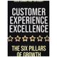 Customer Experience Excellence - Tim Knight, David Conway, Kartoniert (TB)
