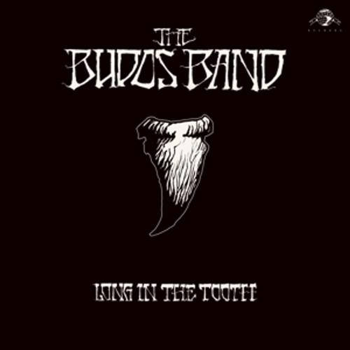 Long In The Tooth Von The Budos Band, Budos Band, Cd