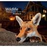 Wildlife Photographer Of The Year: Portfolio 26 - Rosamund Kidman Cox, Gebunden