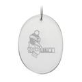 Youngstown State Penguins 2.75'' x 3.75'' Oval Glass Ornament