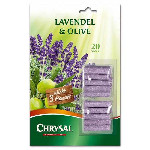 Lavendel & Olive Düngestäbchen - 20 Stück - Chrysal