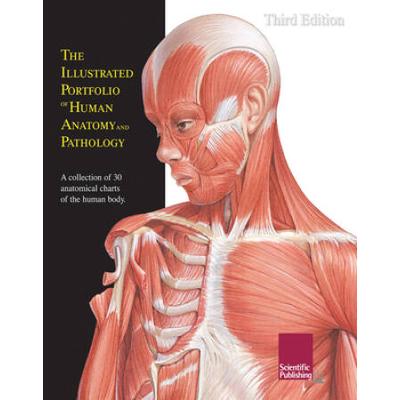 The Illustrated Portfolio Of Human Anatomy And Pat...