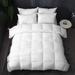 Alwyn Home 750 In³/Oz Fill Power All Season Goose Feather Down Comforter Goose Down, Cotton in White | 104 H x 96 W x 2 D in | Wayfair