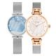 VICTORIA HYDE Women's Watch Set Waterproof Rose Gold Stainless Steel Band Quartz Women's Watches for Sisters Friend (Silver)