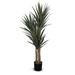 Primrue 59" Artificial Yucca Plant in Pot Silk/Resin/Plastic | 59 H x 18 W x 18 D in | Wayfair 04BAE01447F74EDEA324B6C76EA090E5