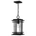Quoizel Mcalister 15 Inch Tall Outdoor Hanging Lantern - MCL1908EK