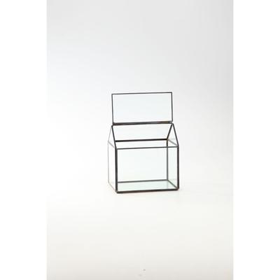 6.5" Clear and Black Geometric Hand Blown Glass Terrariums Hinged Lid