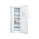 Bosch - Congélateur armoire GSV29VWEV