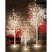 The Holiday Aisle® 200 Lighted Trees & Branches in White | 70 H x 8.6 D in | Wayfair D46E4B10DD4248469A0287AF0B5E2689