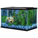 Open Glass 5 Gallon Rectangular Fish Aquarium Tank, Black
