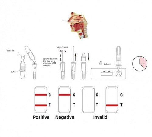 Greenspring Green Spring® PROFI SARS-CoV-2-Antigen Schnelltest (kolloidales Gold) 4in1 Profitest (25 Stück) Image