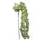 Light Garden 700094 - GREEN WATERFALL FOAM FLOWER, 30